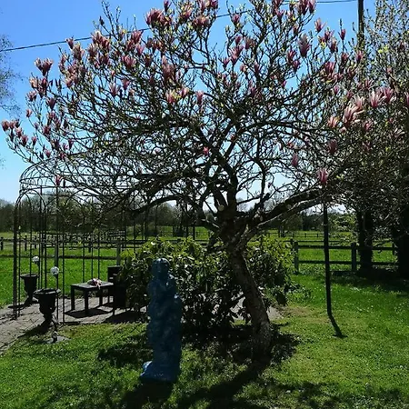 Les Mesanges Combrand