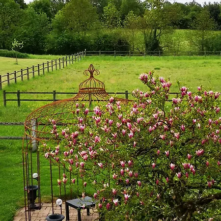 Les Mesanges Bed & Breakfast