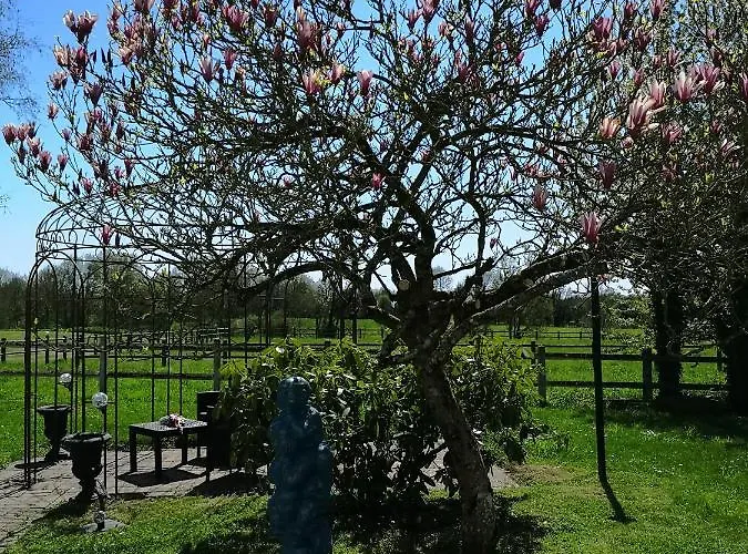 Les Mesanges Combrand